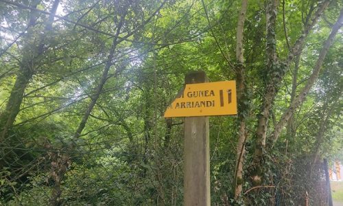 Imagen de la señal rota enviada al canal de Whatsapp de DOT, 656182430.